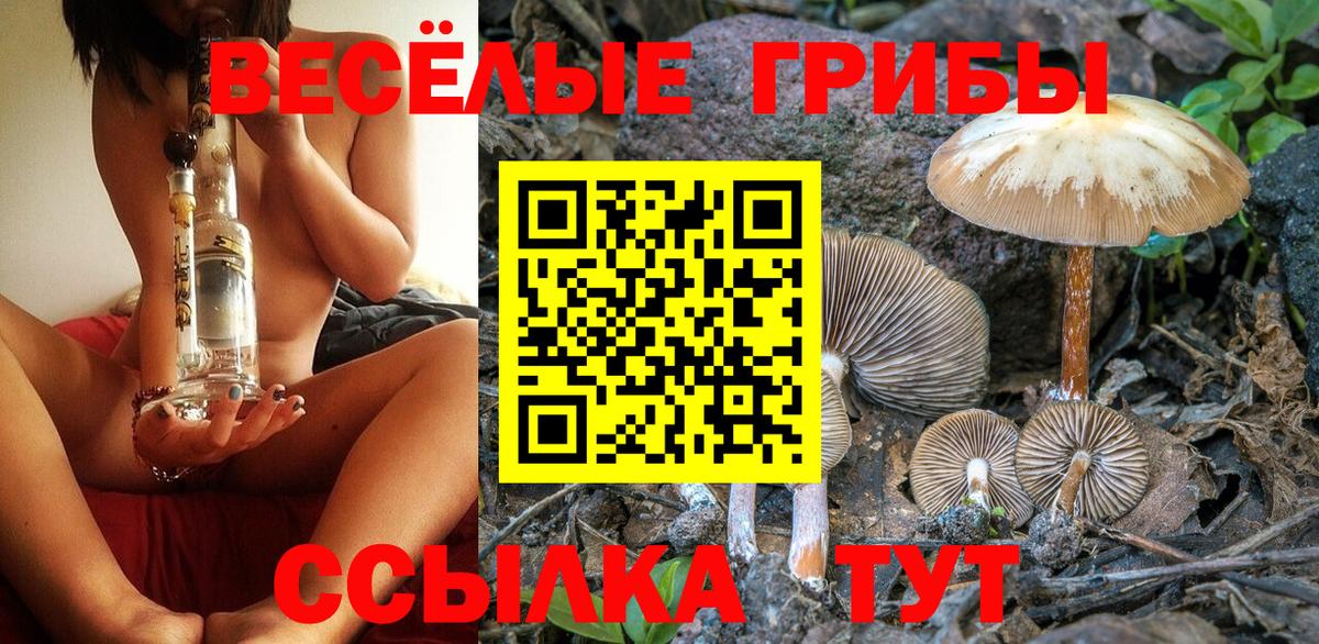 Галлюциногенные грибы ЛСД  Вход с VPN  Галлюциногенные грибы мицелий  Ростов Великий 